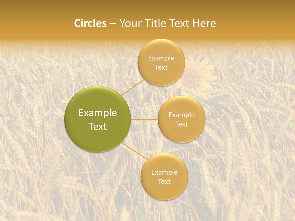 Beauty Vertical Vibrant PowerPoint Template