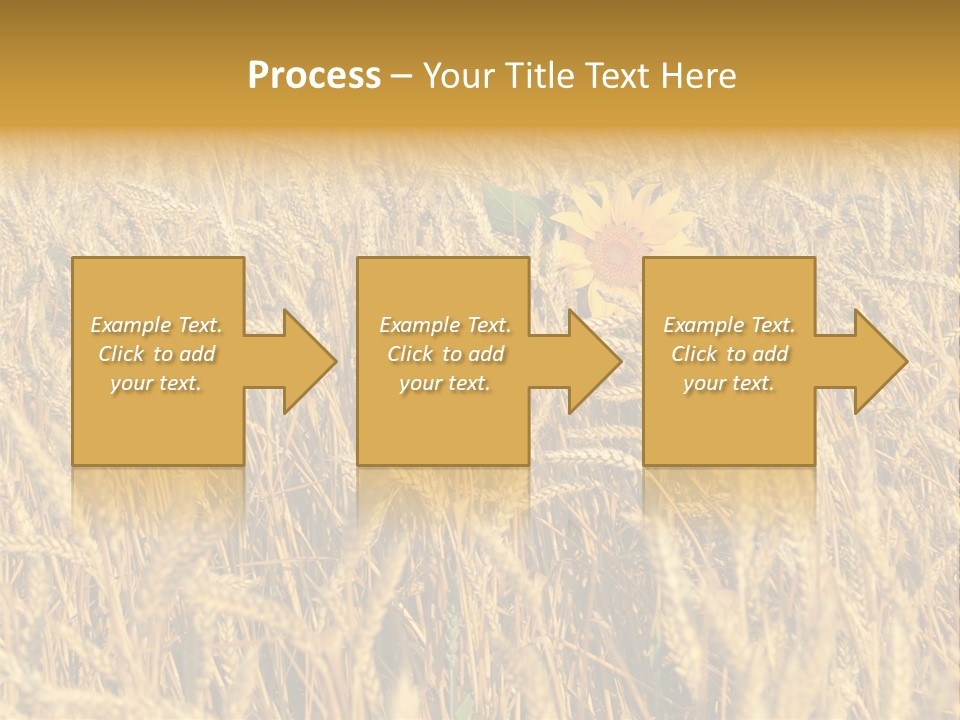 Beauty Vertical Vibrant PowerPoint Template