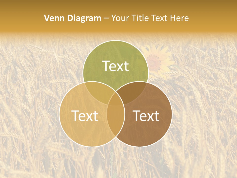 Beauty Vertical Vibrant PowerPoint Template