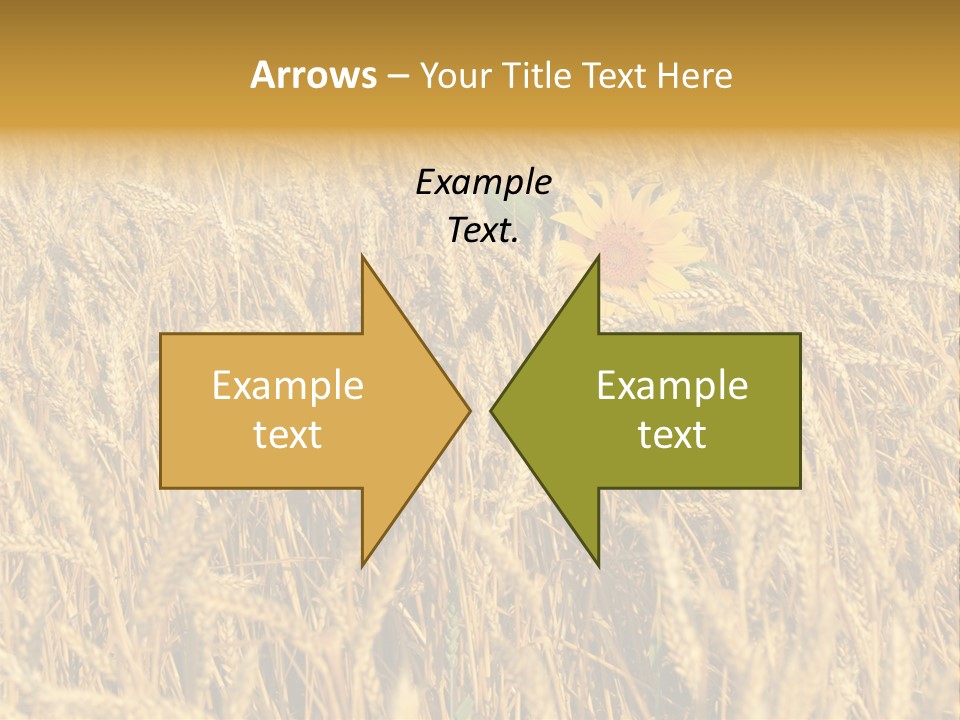 Beauty Vertical Vibrant PowerPoint Template