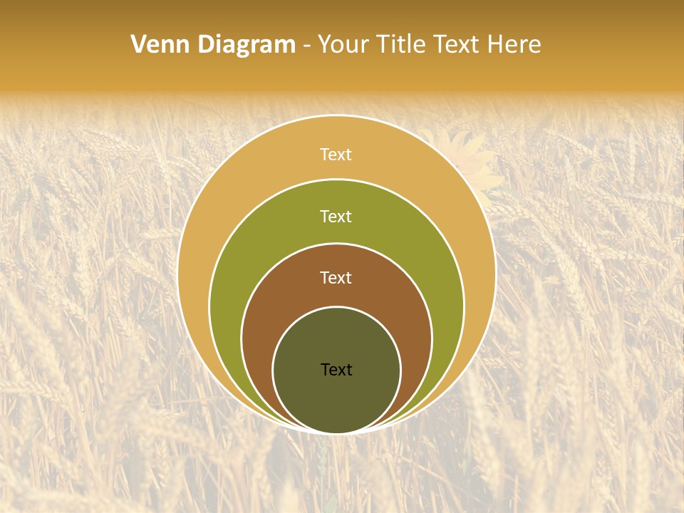 Beauty Vertical Vibrant PowerPoint Template