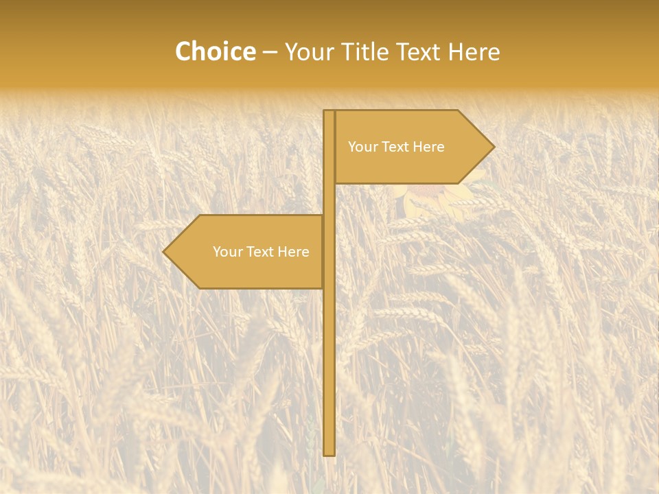 Beauty Vertical Vibrant PowerPoint Template