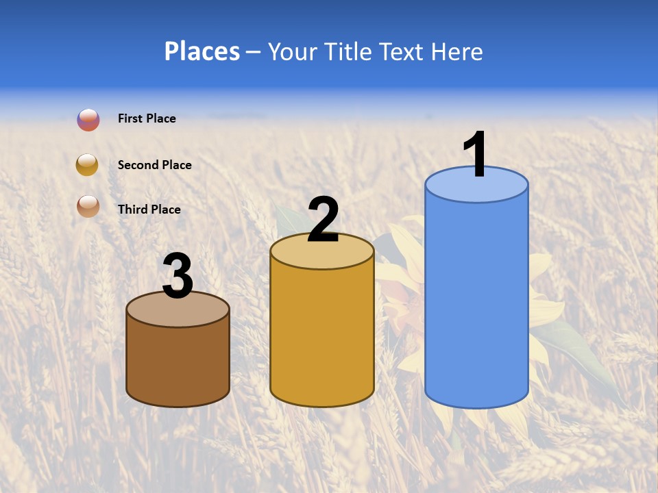 Sunflower And Wheat PowerPoint Template