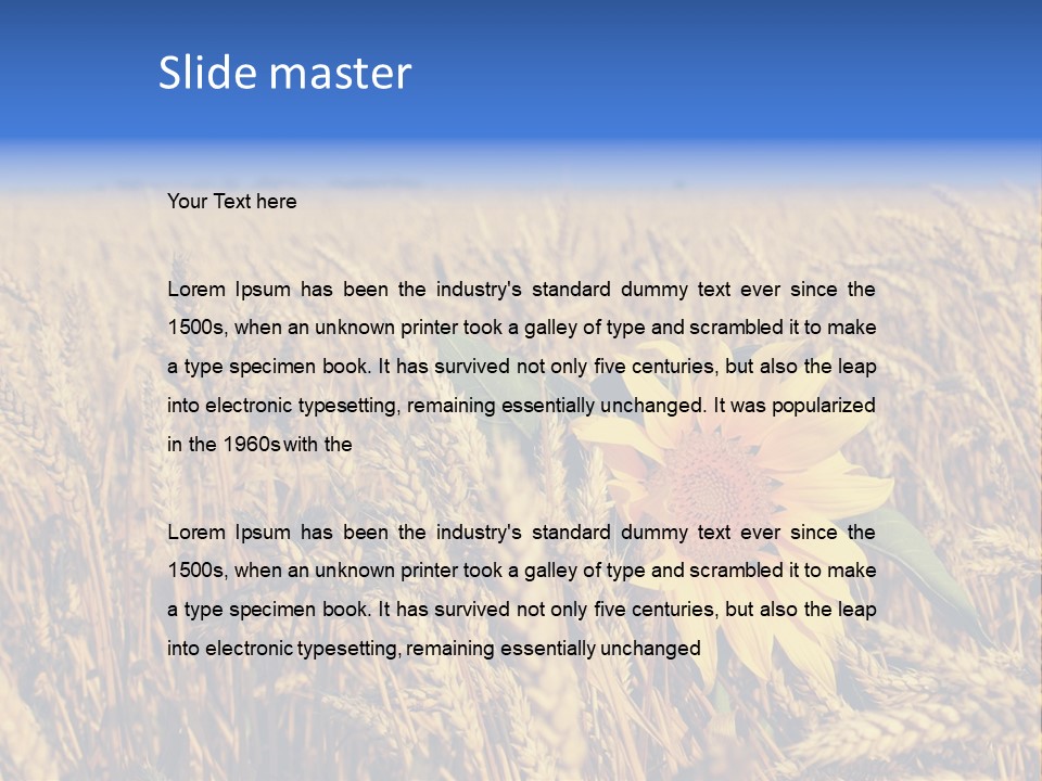 Sunflower And Wheat PowerPoint Template