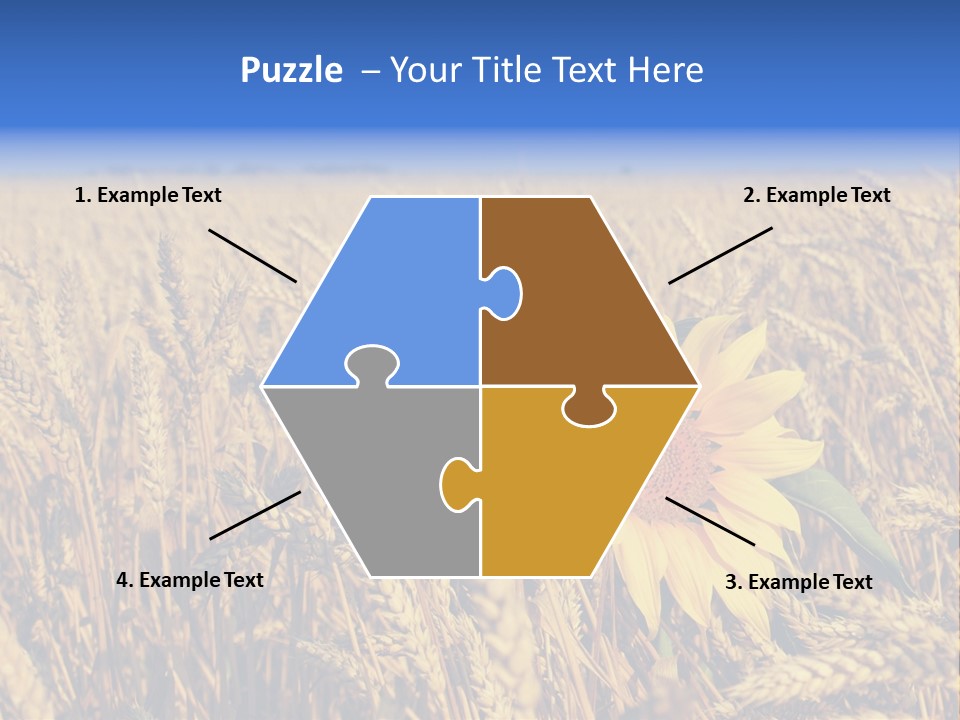 Sunflower And Wheat PowerPoint Template