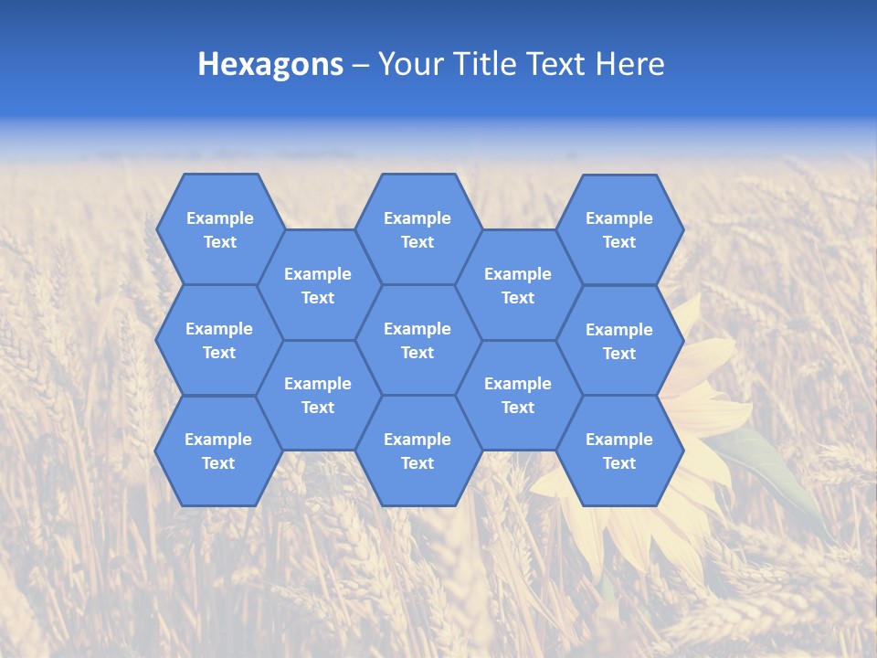 Sunflower And Wheat PowerPoint Template