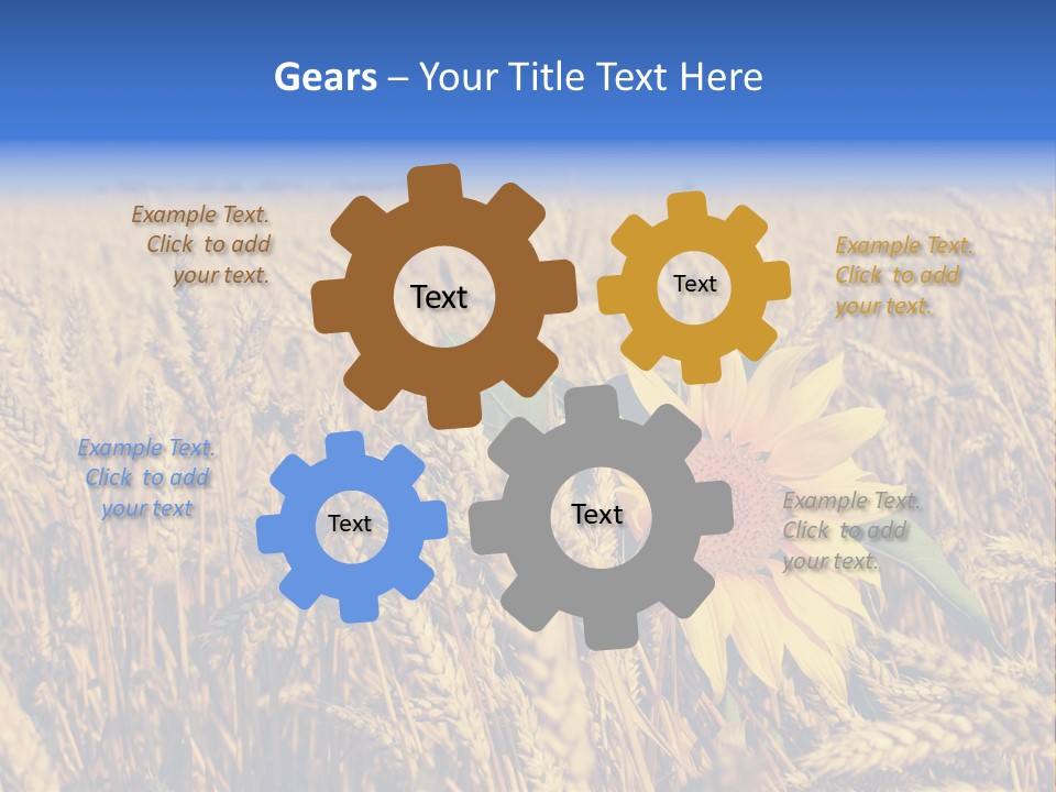 Sunflower And Wheat PowerPoint Template
