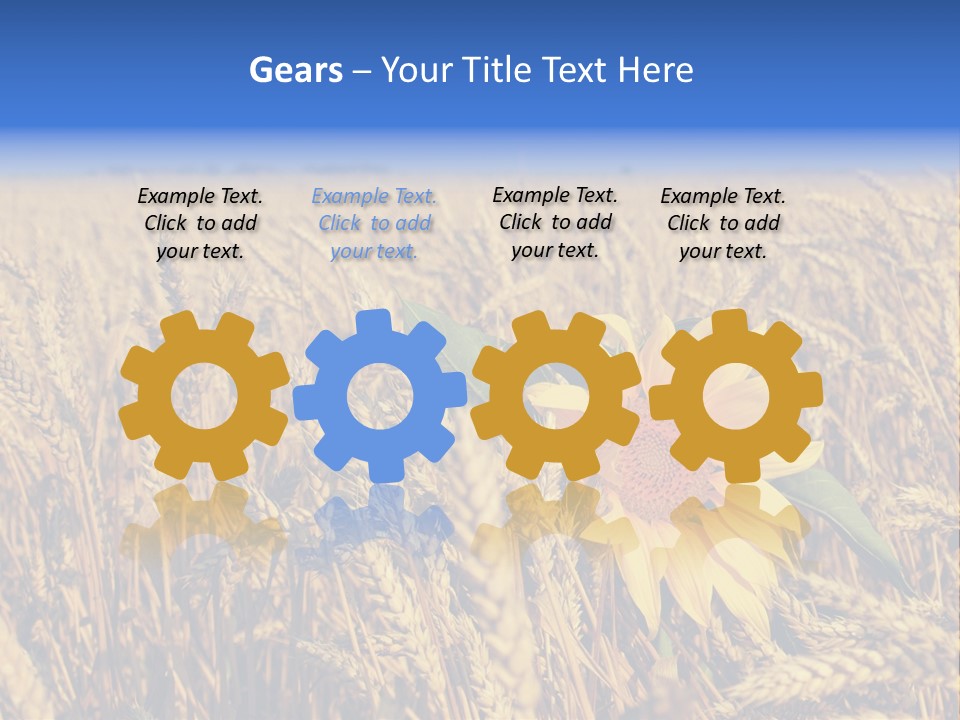 Sunflower And Wheat PowerPoint Template