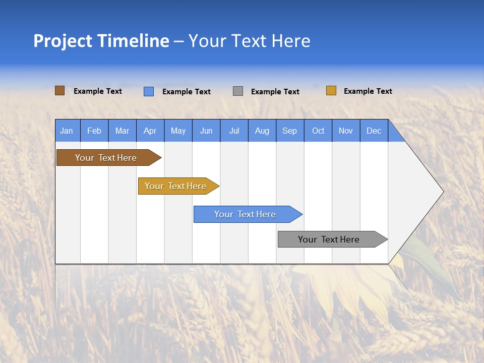Sunflower And Wheat PowerPoint Template