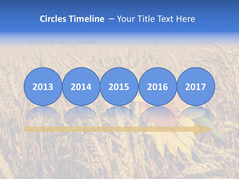 Sunflower And Wheat PowerPoint Template