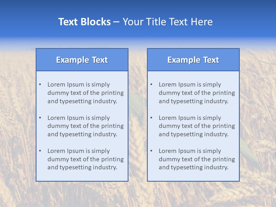 Sunflower And Wheat PowerPoint Template