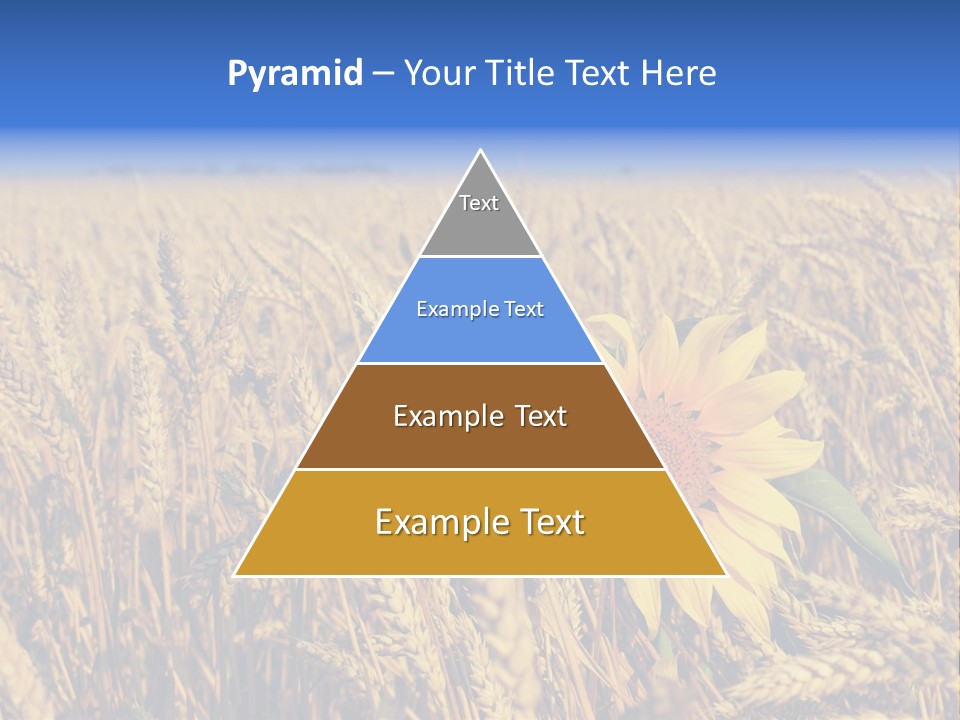 Sunflower And Wheat PowerPoint Template