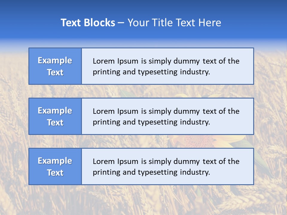 Sunflower And Wheat PowerPoint Template