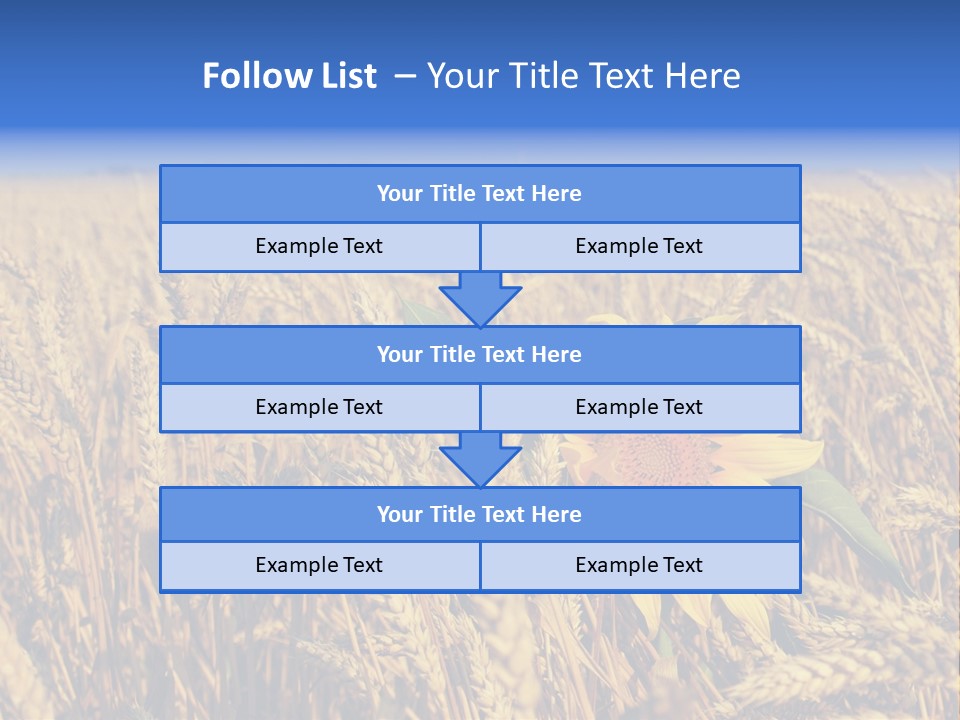 Sunflower And Wheat PowerPoint Template