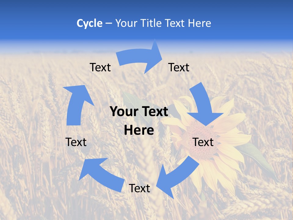 Sunflower And Wheat PowerPoint Template