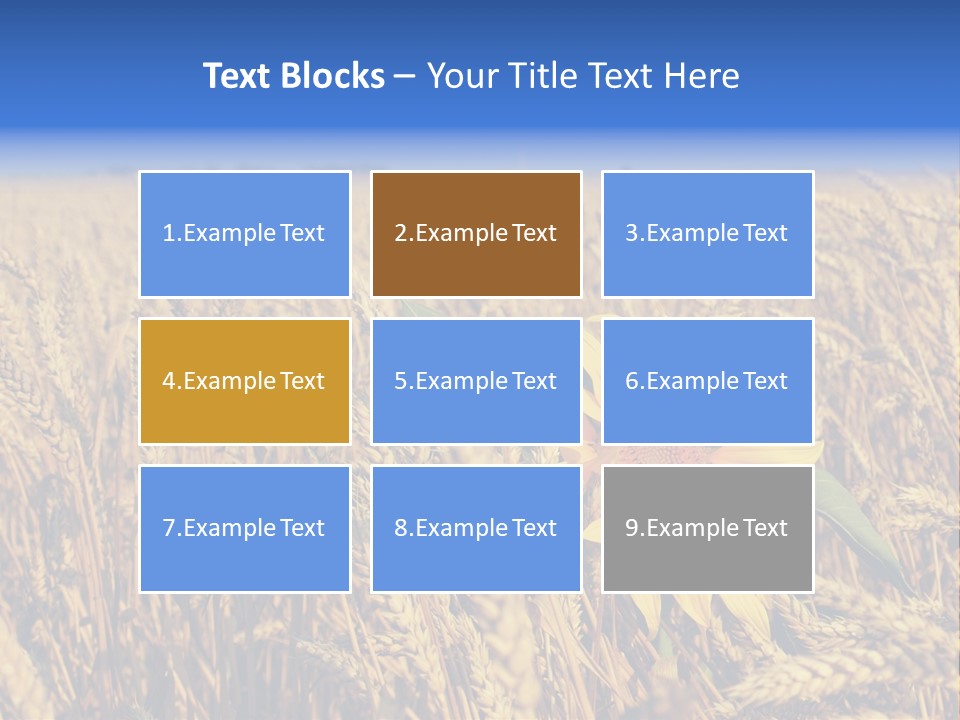 Sunflower And Wheat PowerPoint Template