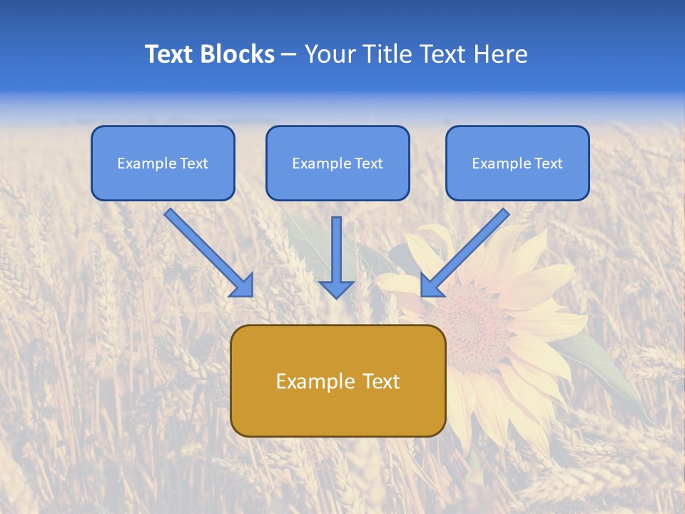 Sunflower And Wheat PowerPoint Template