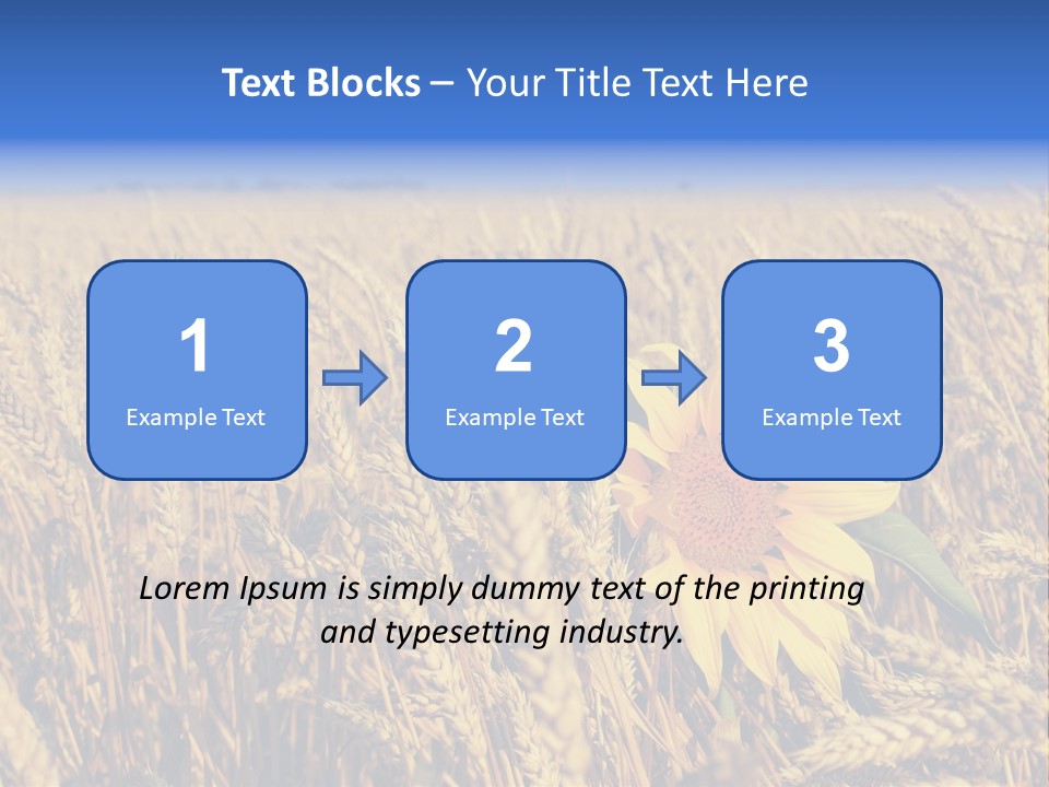 Sunflower And Wheat PowerPoint Template