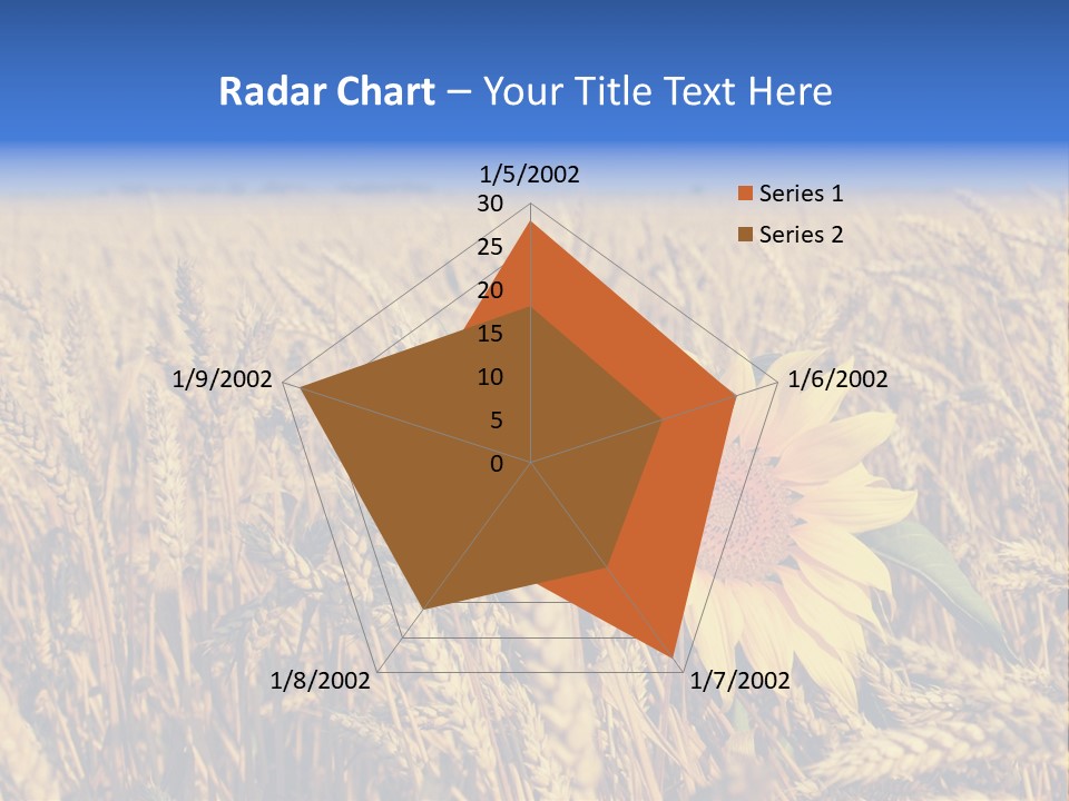 Sunflower And Wheat PowerPoint Template