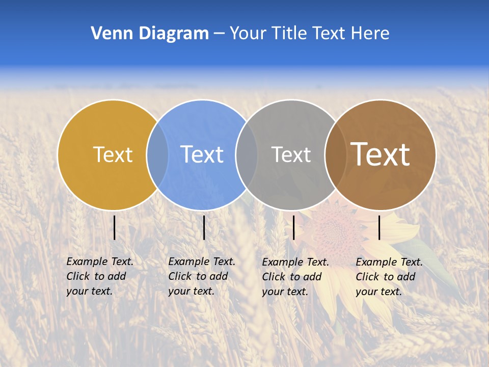 Sunflower And Wheat PowerPoint Template