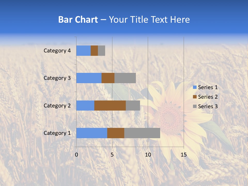 Sunflower And Wheat PowerPoint Template