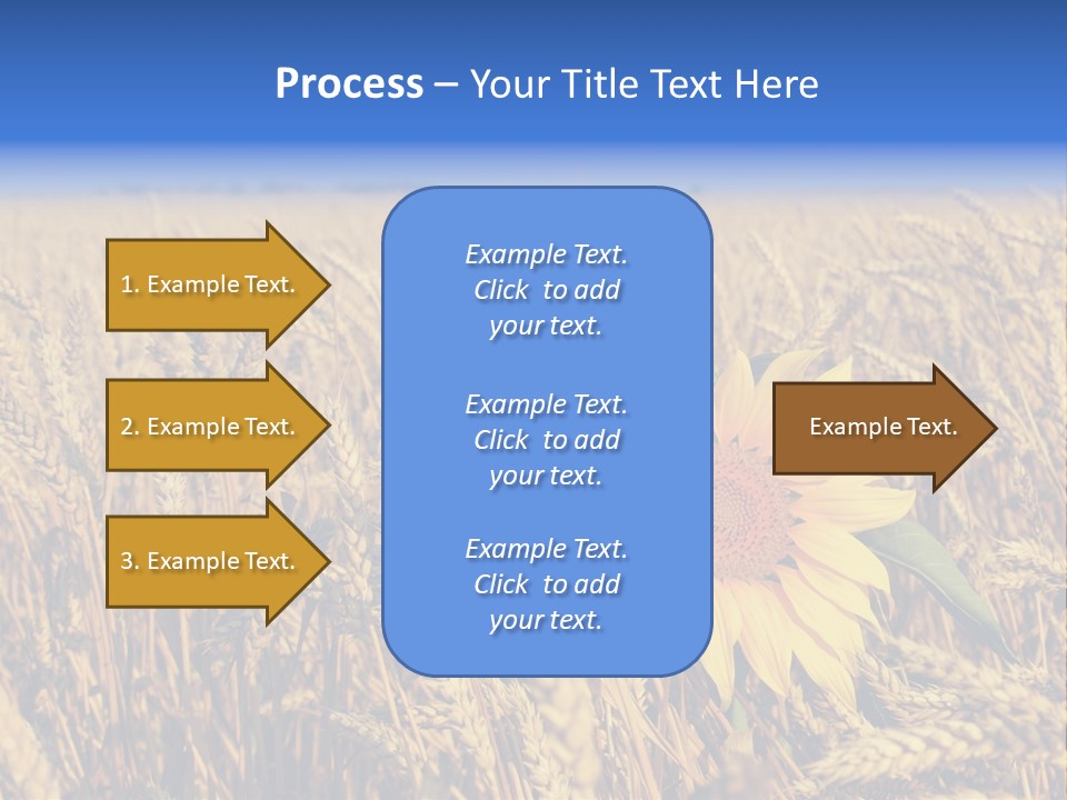Sunflower And Wheat PowerPoint Template