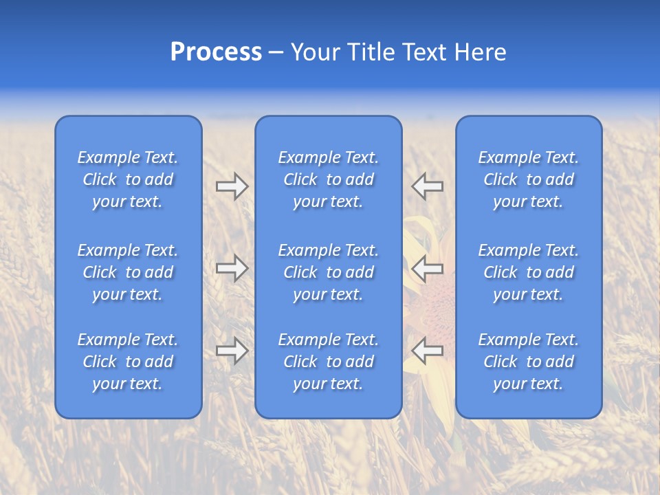 Sunflower And Wheat PowerPoint Template