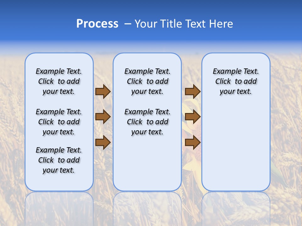 Sunflower And Wheat PowerPoint Template