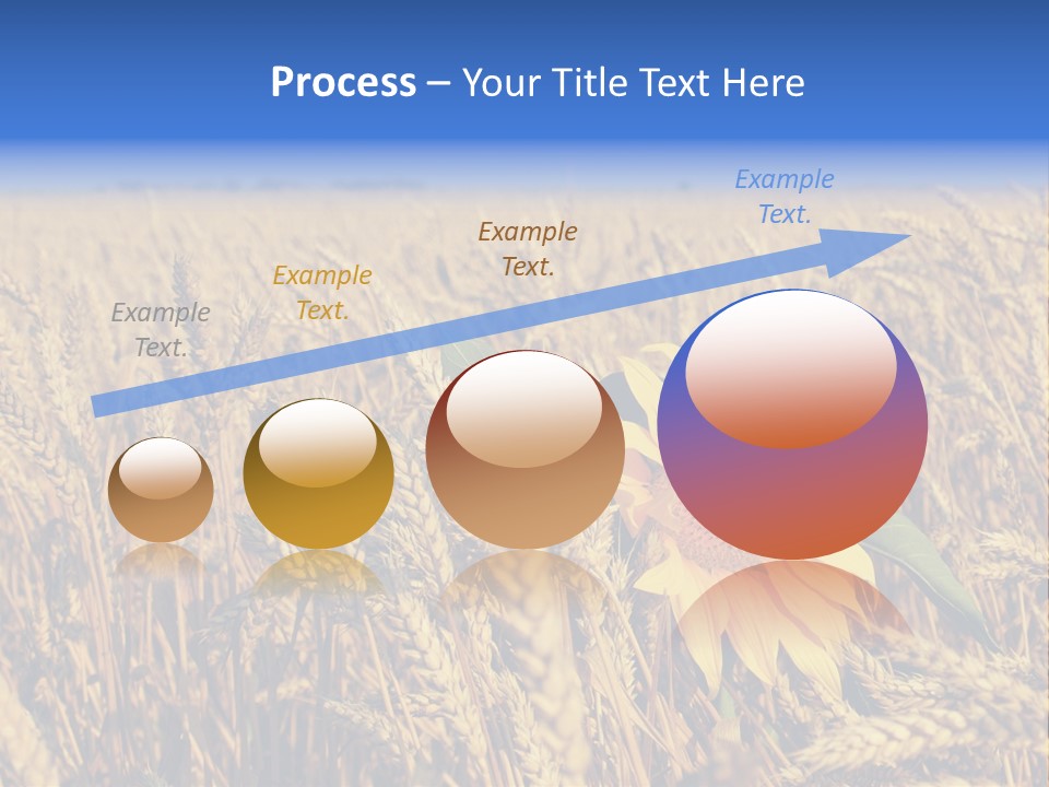 Sunflower And Wheat PowerPoint Template