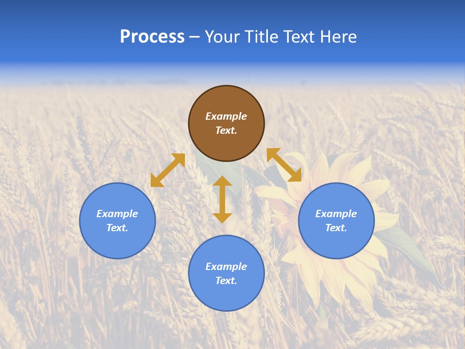 Sunflower And Wheat PowerPoint Template