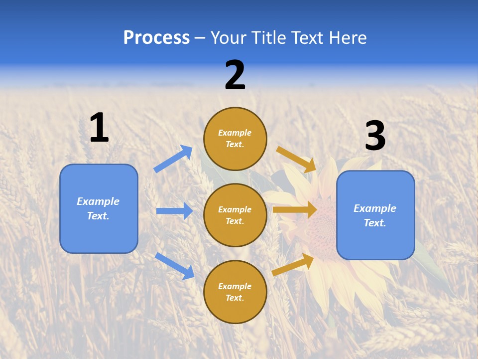 Sunflower And Wheat PowerPoint Template