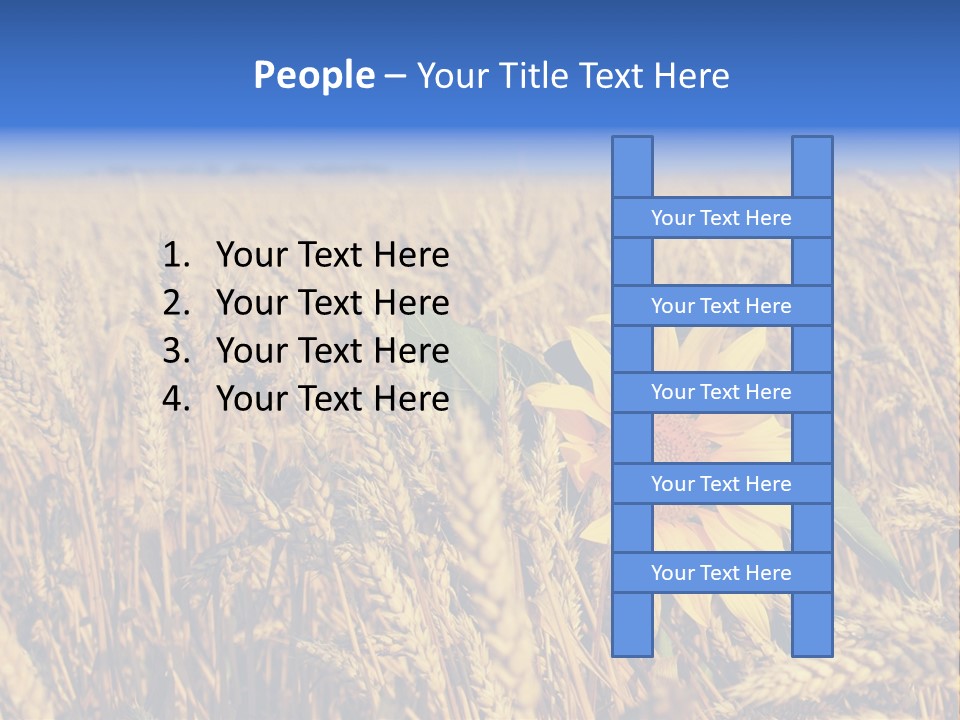 Sunflower And Wheat PowerPoint Template