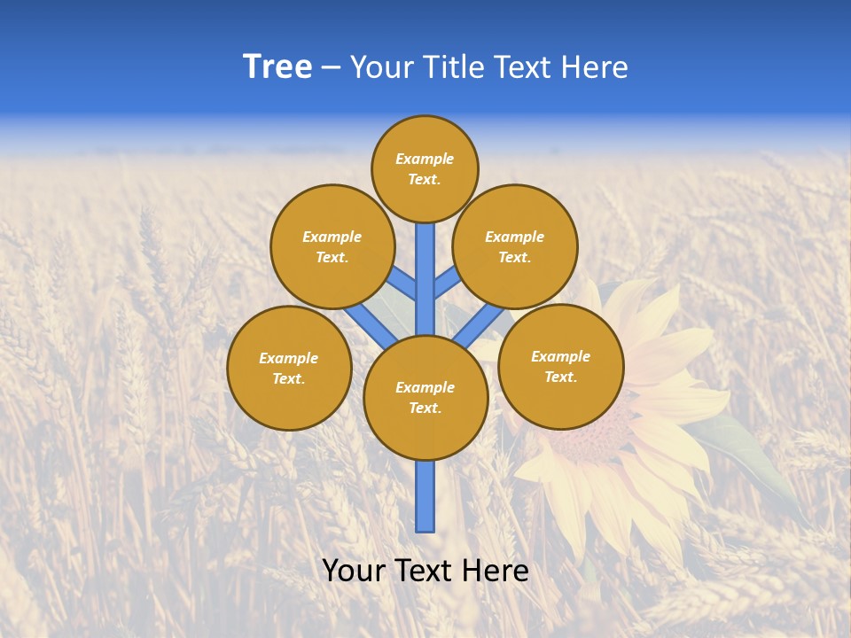 Sunflower And Wheat PowerPoint Template