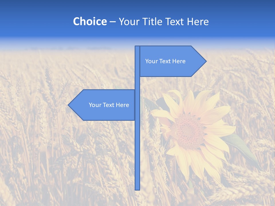 Sunflower And Wheat PowerPoint Template