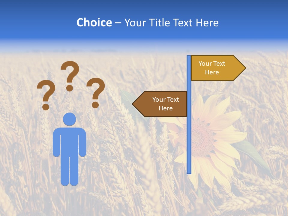 Sunflower And Wheat PowerPoint Template