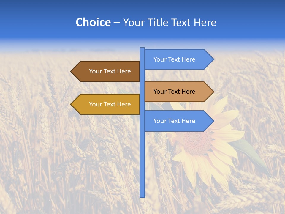 Sunflower And Wheat PowerPoint Template