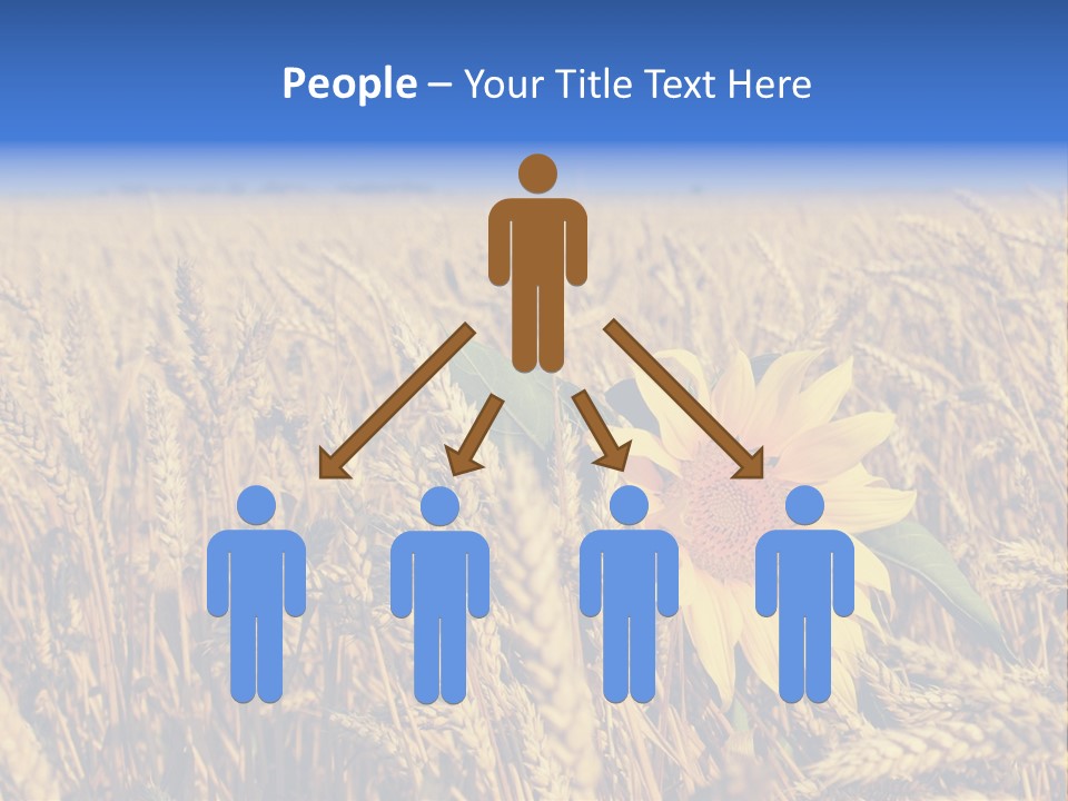 Sunflower And Wheat PowerPoint Template