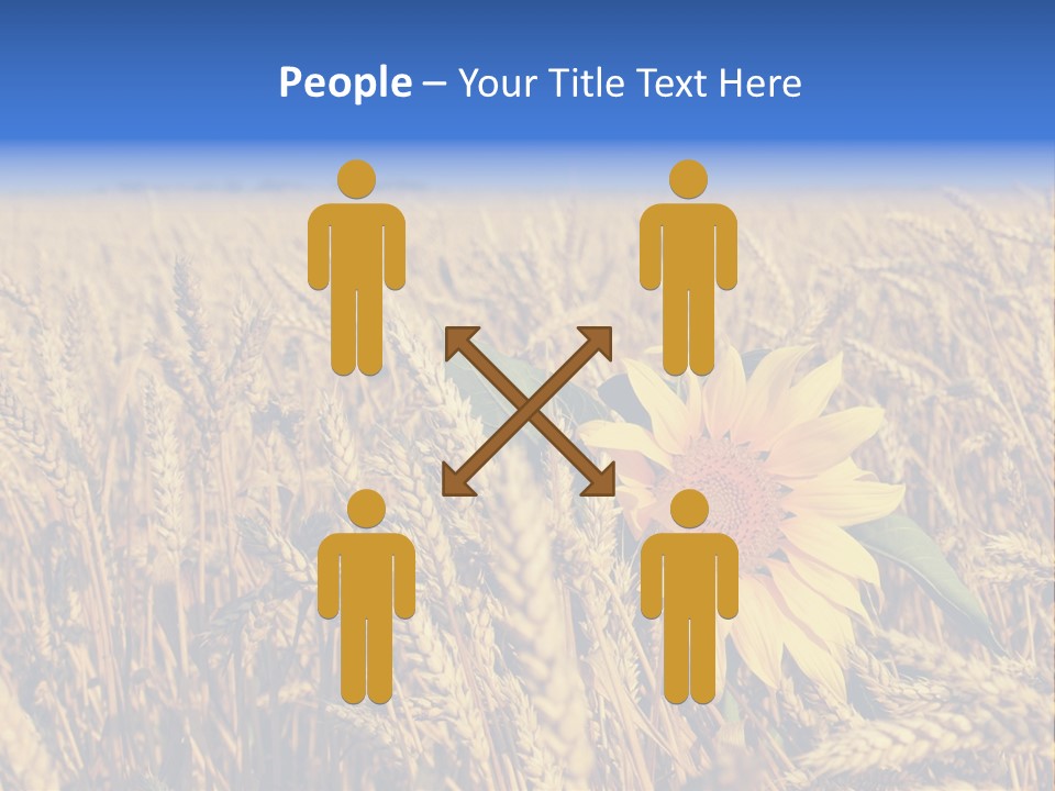 Sunflower And Wheat PowerPoint Template