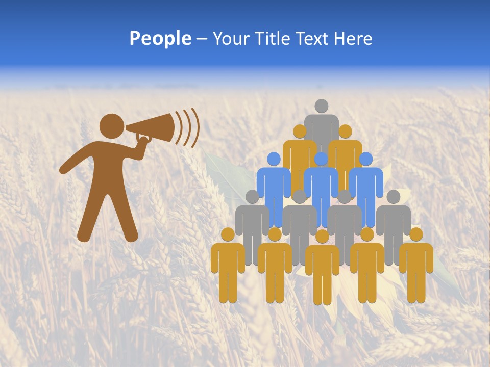 Sunflower And Wheat PowerPoint Template