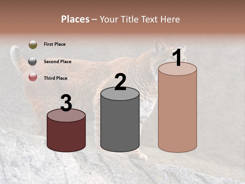 Rode Lynx PowerPoint Template