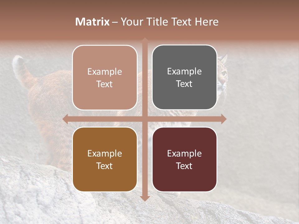 Rode Lynx PowerPoint Template