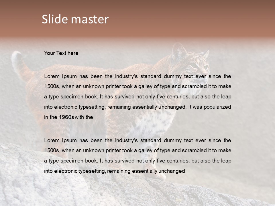 Rode Lynx PowerPoint Template
