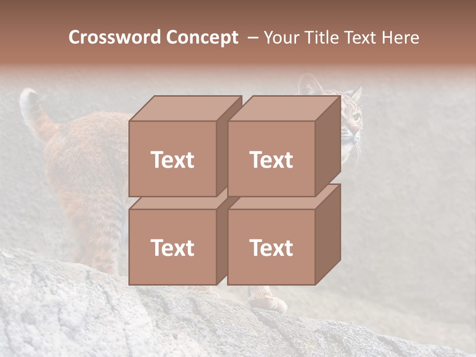 Rode Lynx PowerPoint Template