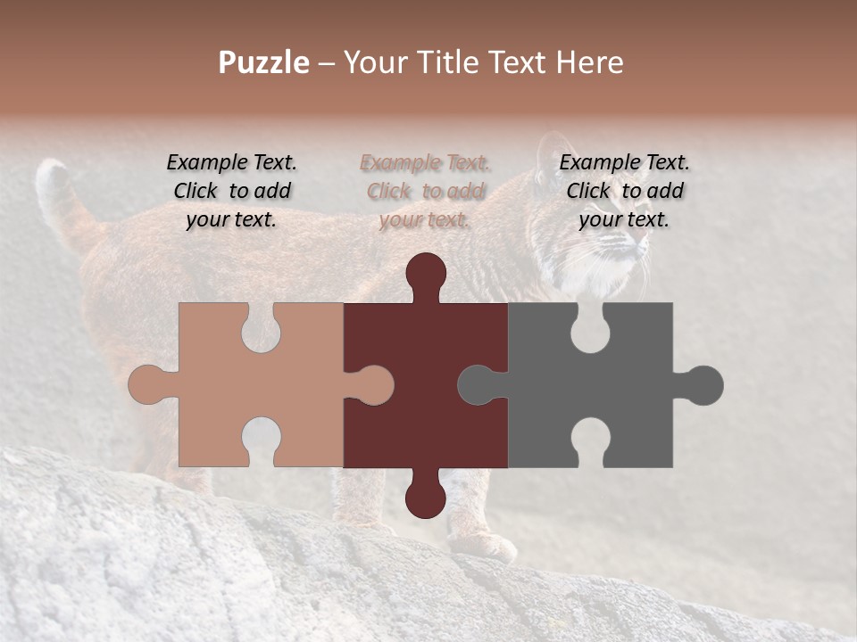 Rode Lynx PowerPoint Template