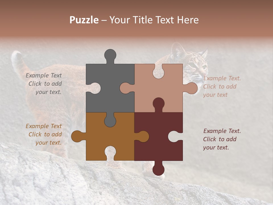 Rode Lynx PowerPoint Template