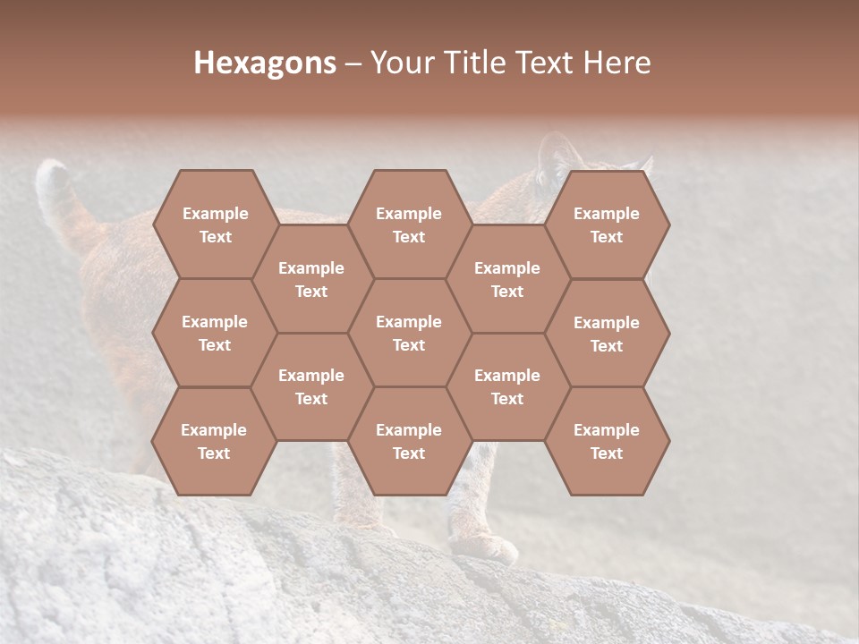 Rode Lynx PowerPoint Template