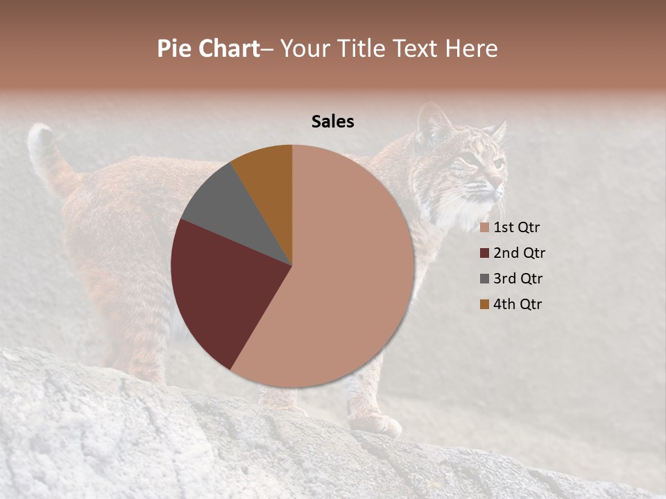 Rode Lynx PowerPoint Template