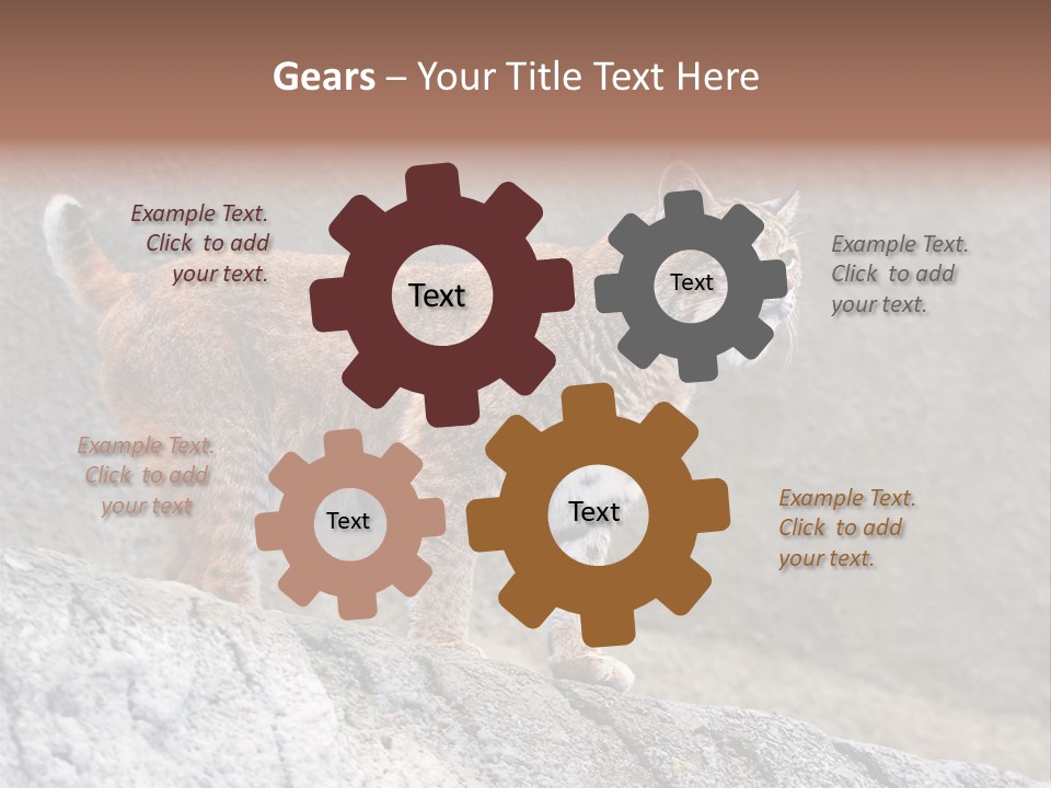 Rode Lynx PowerPoint Template