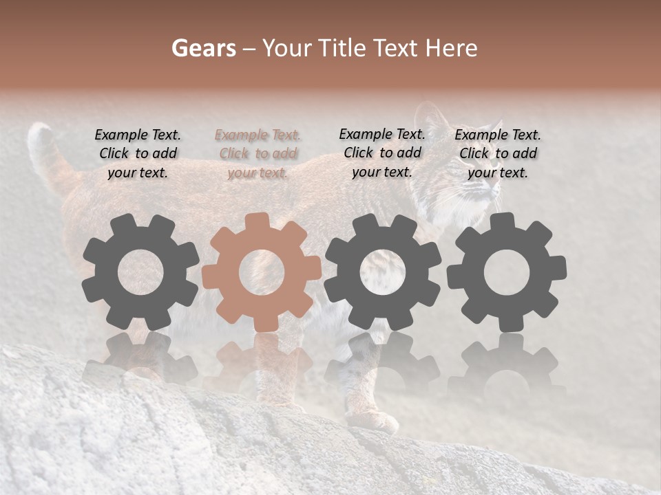 Rode Lynx PowerPoint Template