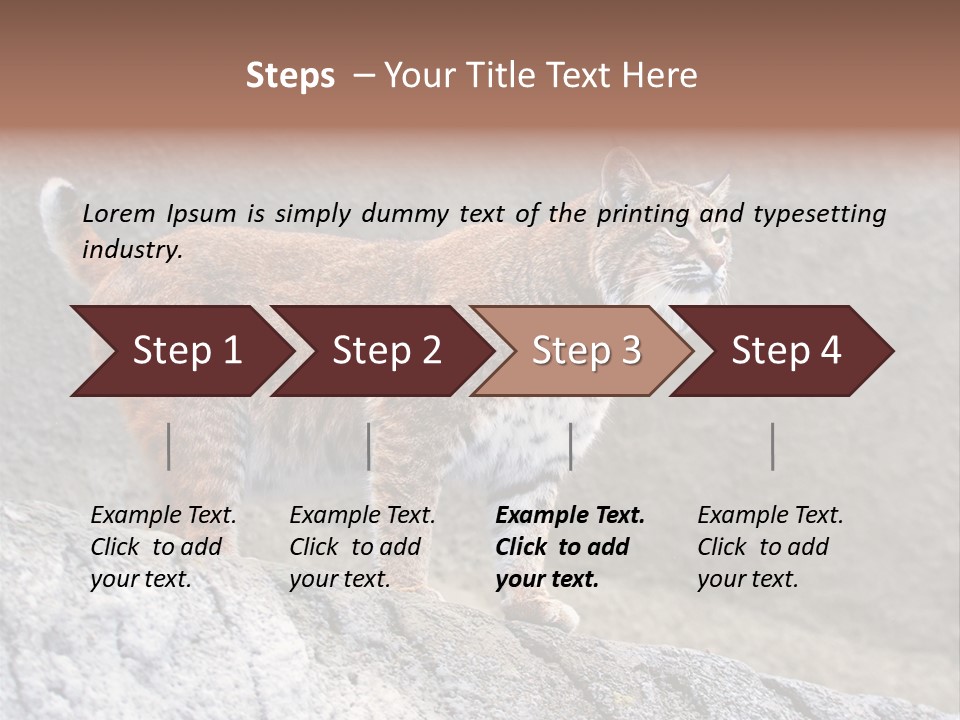 Rode Lynx PowerPoint Template